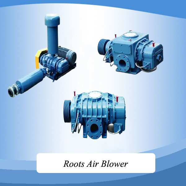 Roots Air Blower